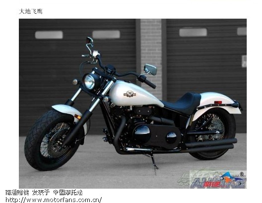 这是大地鹰王什么型号的车车 - 摩托车论坛 - 大