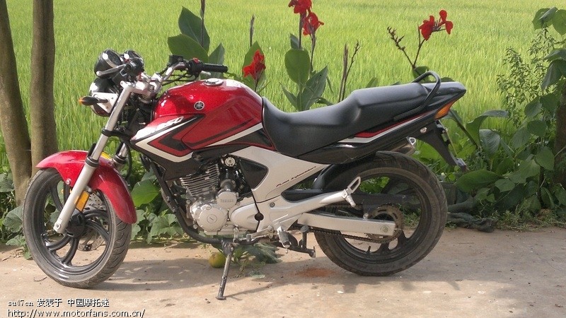 个人认为天剑前轮挡泥胶这样安装比较好看 - 雅