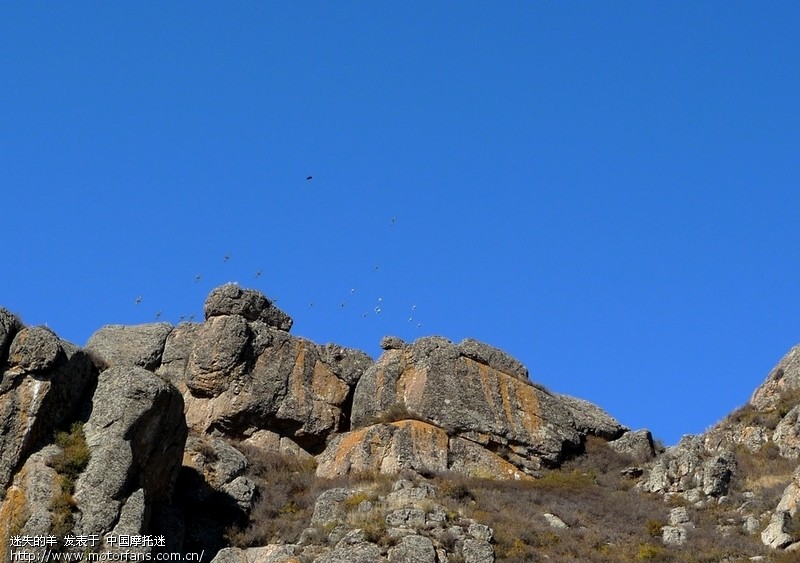 给内蒙板块加快瓦 上菜了 - 内蒙古摩友交流区