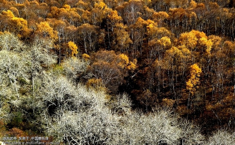 给内蒙板块加快瓦 上菜了 - 内蒙古摩友交流区