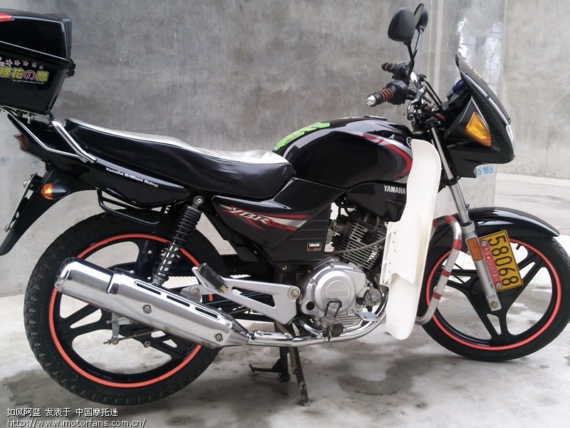 天剑与钻豹,哪个更省油?