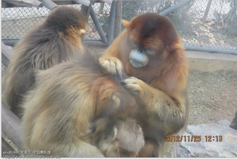 7使用记录之何去何从,另寻新欢,心难定,路难走