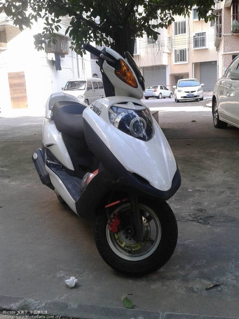 新大洲本田--飞梦 - 踏板论坛 - 新大洲本田踏板