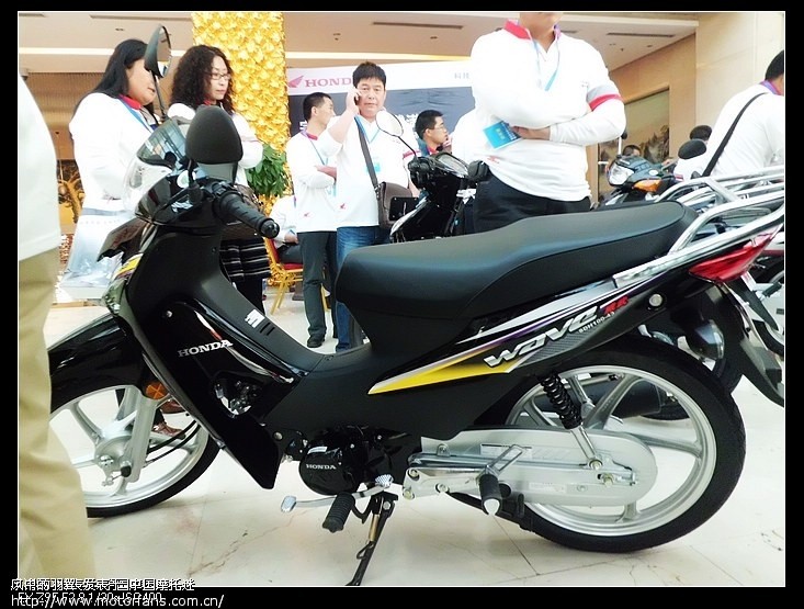 威武王、飘悦价格,要是你会如何选择? - 弯梁世