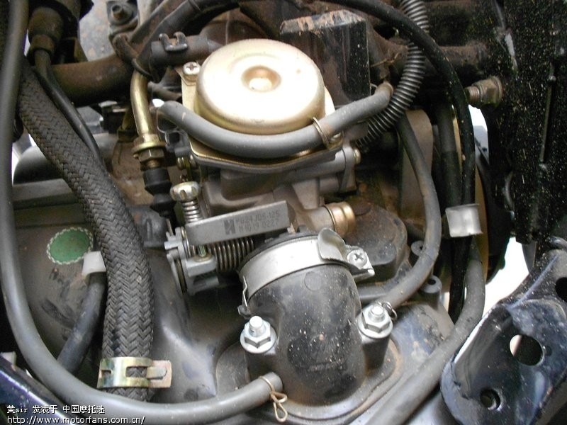 新手购入一踏板车,欢迎各位大侠来瞧瞧 - 踏板