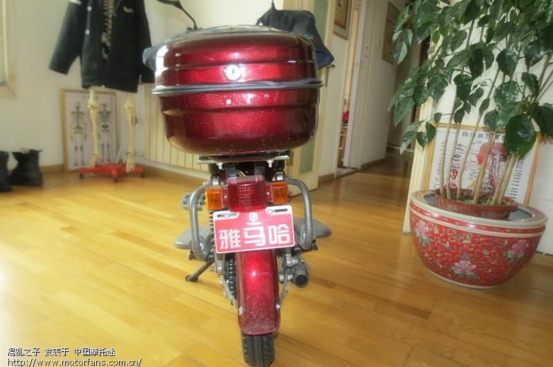 燃油助力车 我的新朋友 百公里耗油1.5 - 北京摩