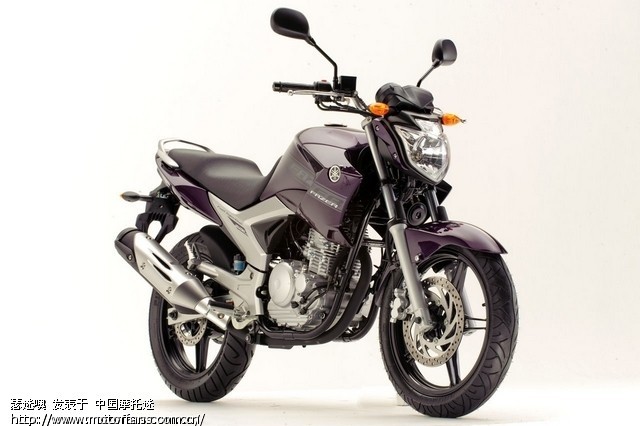 YBR250天剑王2013会出新款? - 雅马哈 - 摩托
