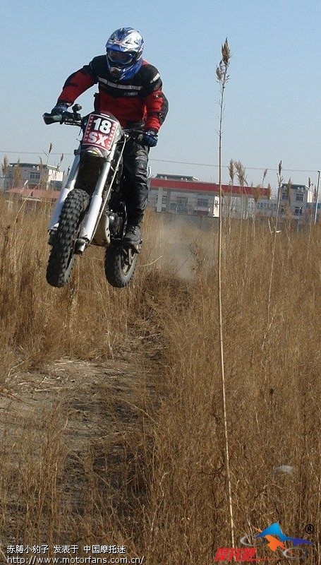 轻骑藏獒狗三,后减震,无阻尼,又不漏油!(不是减