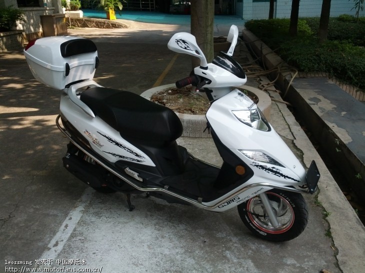 请教红宝问题 - 踏板论坛 - 铃木踏板摩托 - 摩托