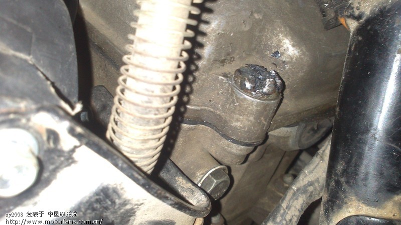 各位大侠帮我看看啊铃木天客的 - 踏板论坛 - 铃