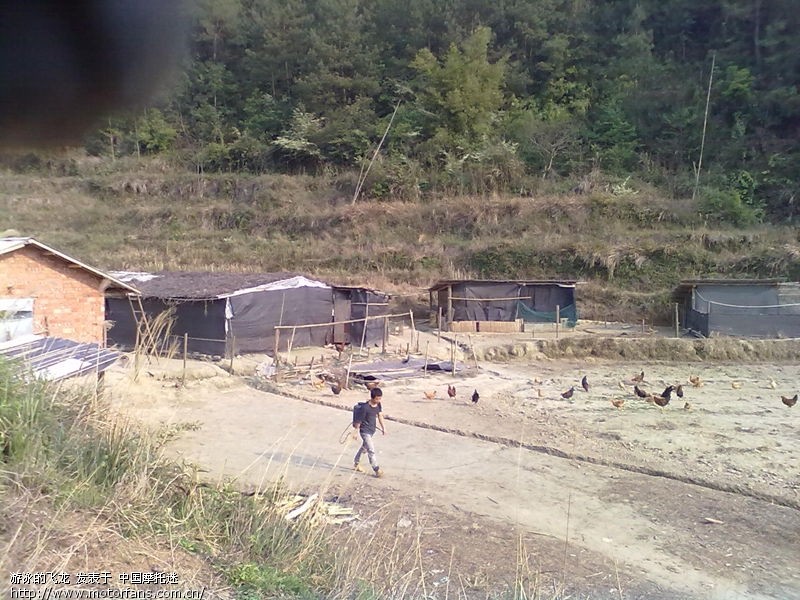 战鹰150加汽机油,当回小白鼠,标题要长 - 摩托车