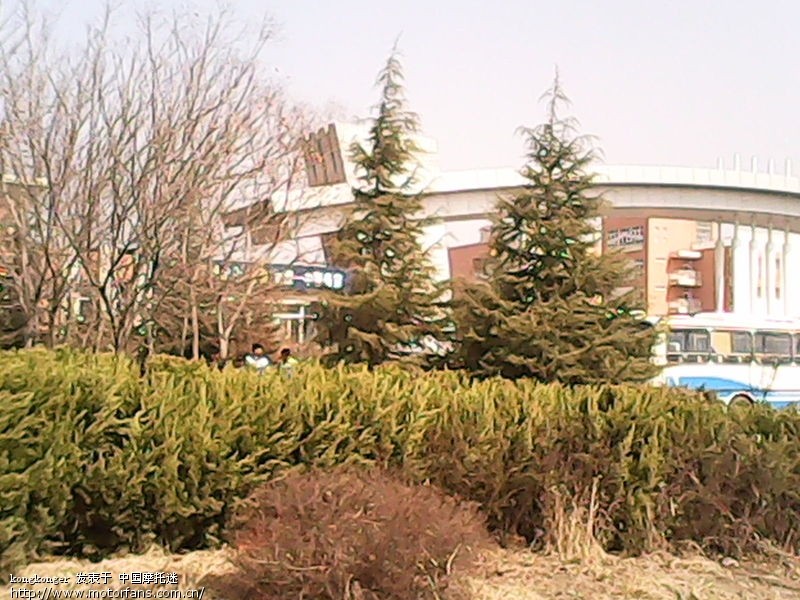 新年都未有芳华, 二月初惊见草芽(第二页全部行