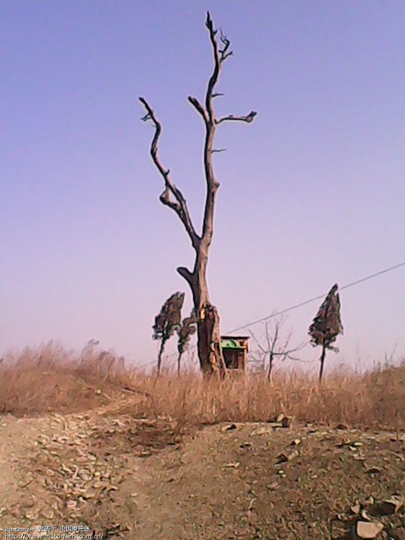新年都未有芳华, 二月初惊见草芽(第二页全部行
