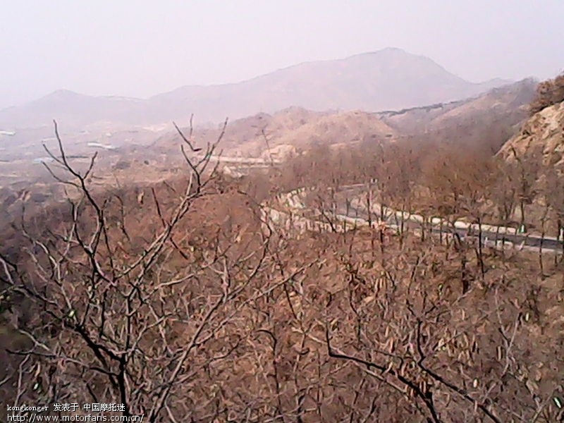 新年都未有芳华, 二月初惊见草芽(第二页全部行