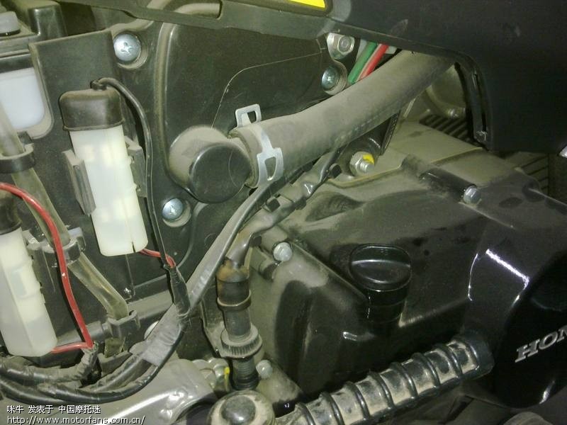 晒晒我的SDH100-43 威武王 网轮 - 弯梁世界 -