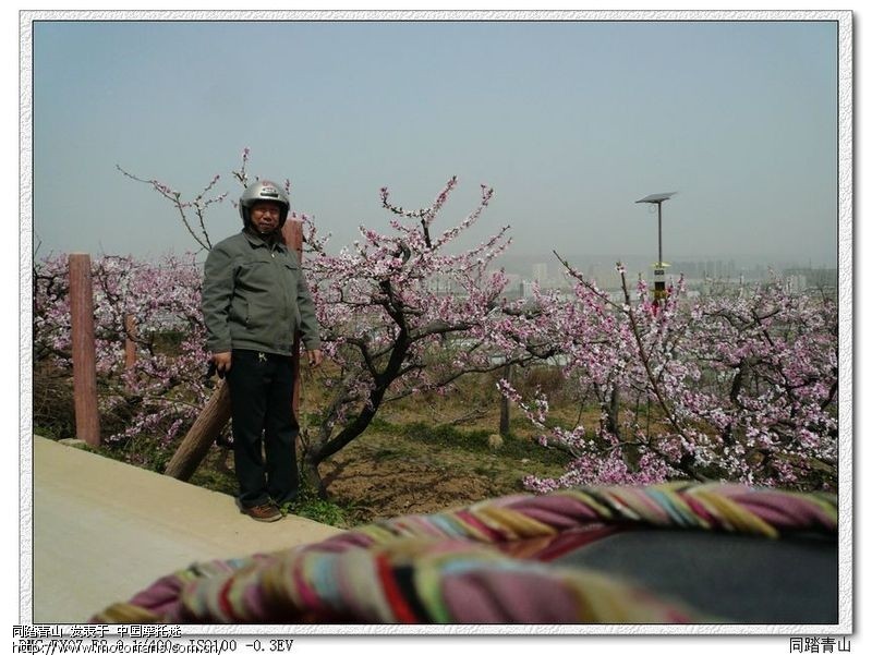 摩托迷中老年活动中心 - QQ群专区 - 摩托车论