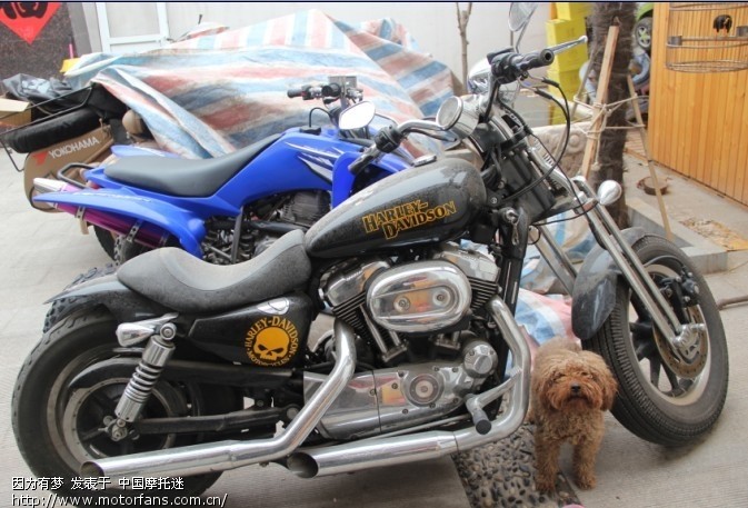 出售 哈雷1200弹簧头 沙滩猛禽250 侉子2台 - 