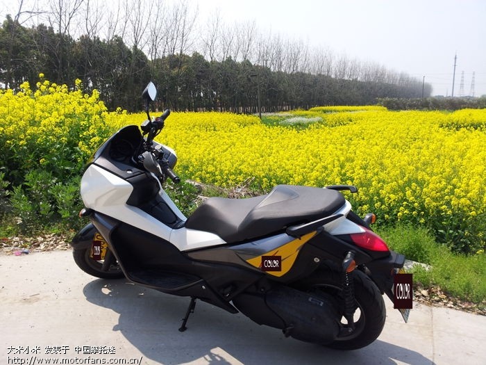 2011款本田佛沙250+ABS版(已出)+-+上海摩友