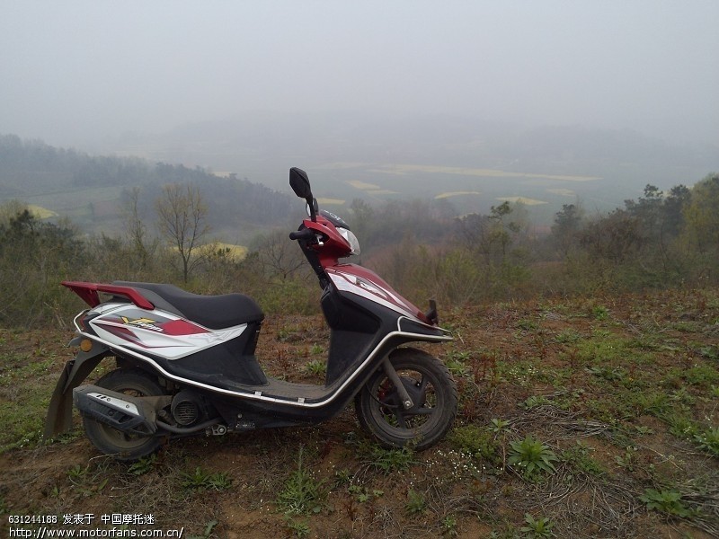 农村的小V(WH100T-K 名悦) - 五羊本田-踏板车