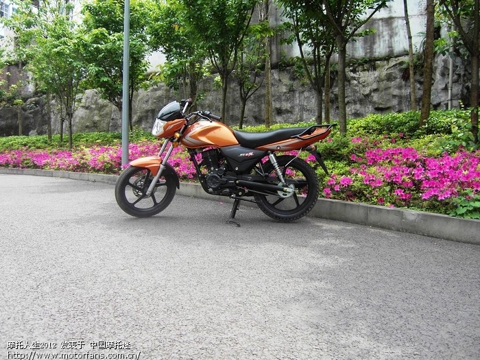 隆鑫125-58 头罩版 带碟刹 升级福月 价格贵30