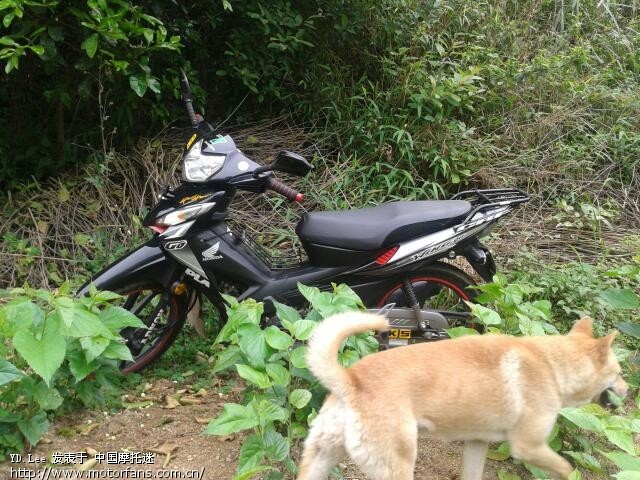 五-入手的新锋弛wh100-2