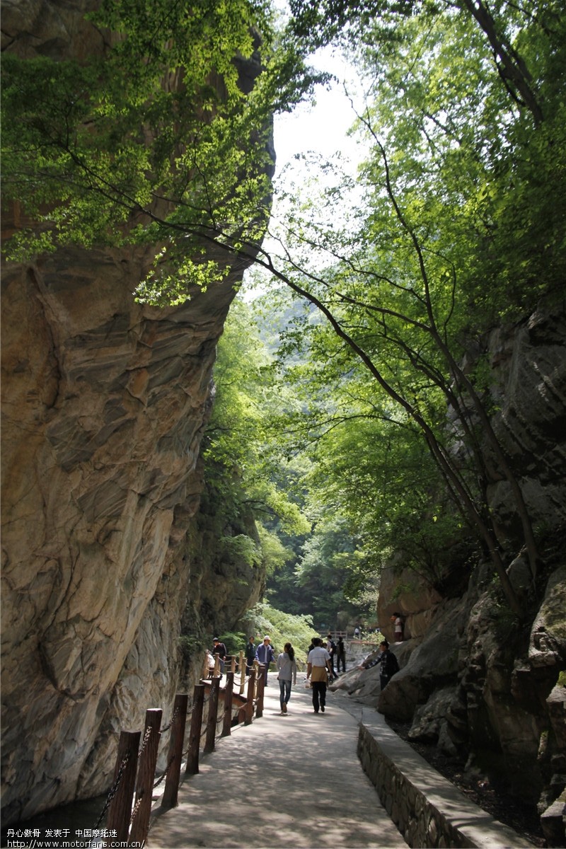 太平山森林公园一日游