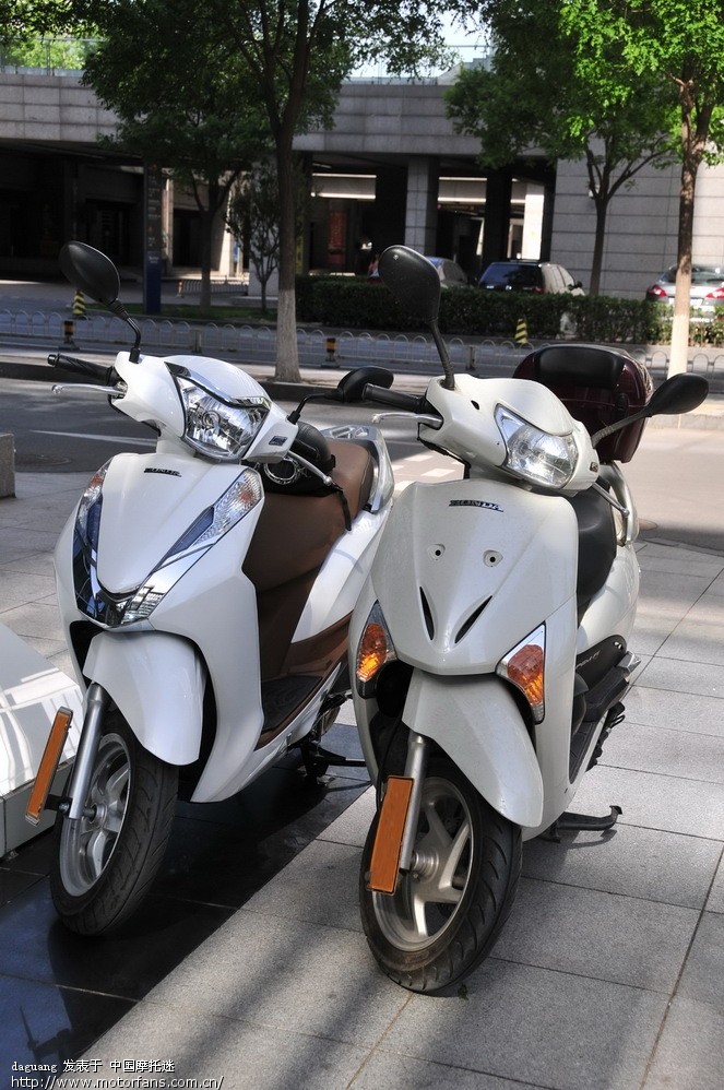 ◆白配棕Lead125:第一次换机油、甲鱼合影◆