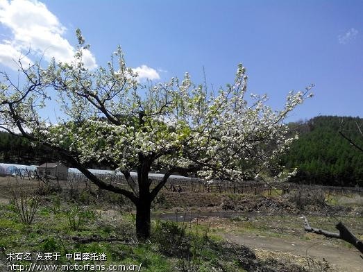 牛奶海鲜味_海鲜牛奶_牛奶巧克力