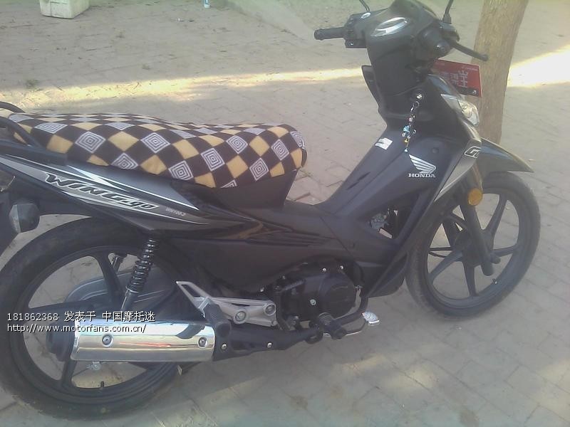 5480~~本田骑回家~《新锋驰》 - 五羊本田-弯