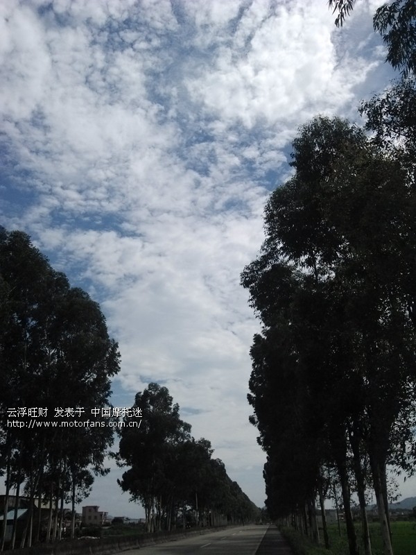 由云浮到新兴,再到高州,夜幕降临,又回到老家罗