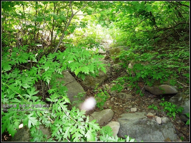单人匹马游山(盖州九寨雪帽山)玩水(李官砂石海