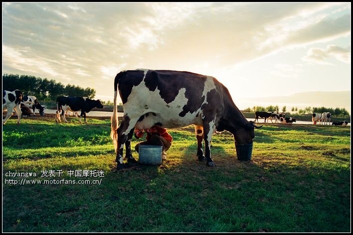 摩托迷8周年的第一场活动!名字有点长.黑龙江