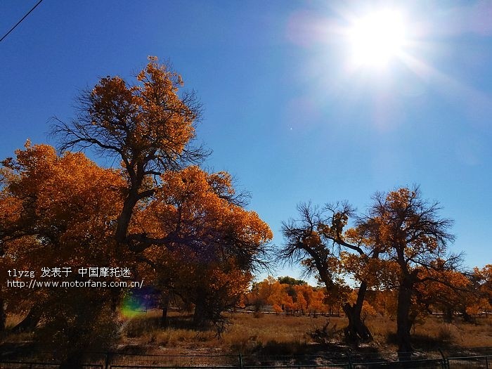 如何安全驾驶摩托车 - 陕西摩友交流区 - 西咸摩
