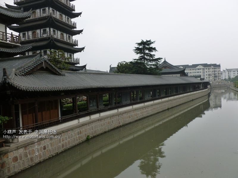 小踏板单骑溜车一日游(真如古镇.顾村公园.美兰