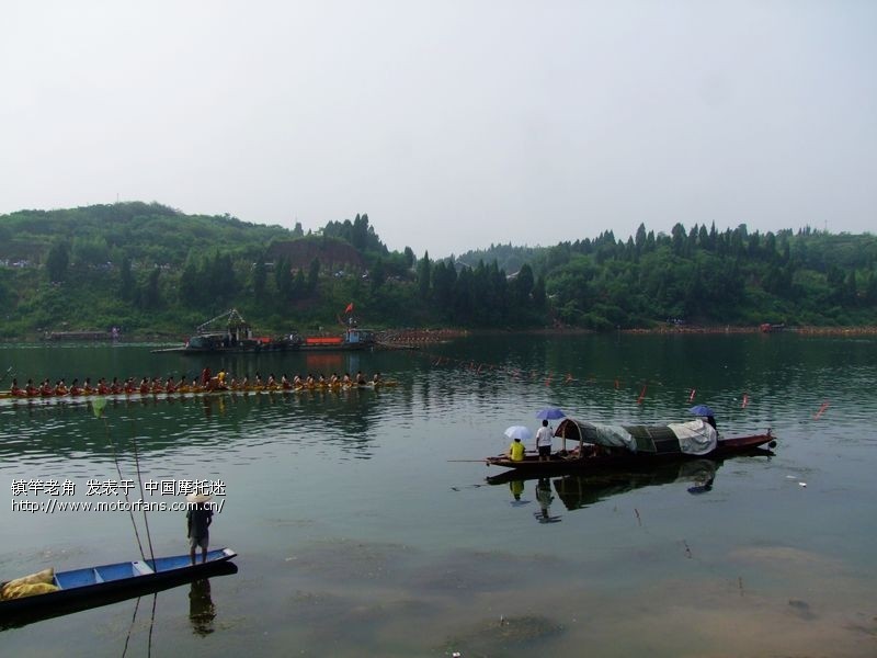 农历五月十五麻阳兰里看龙舟、品美味鲜鹅肉