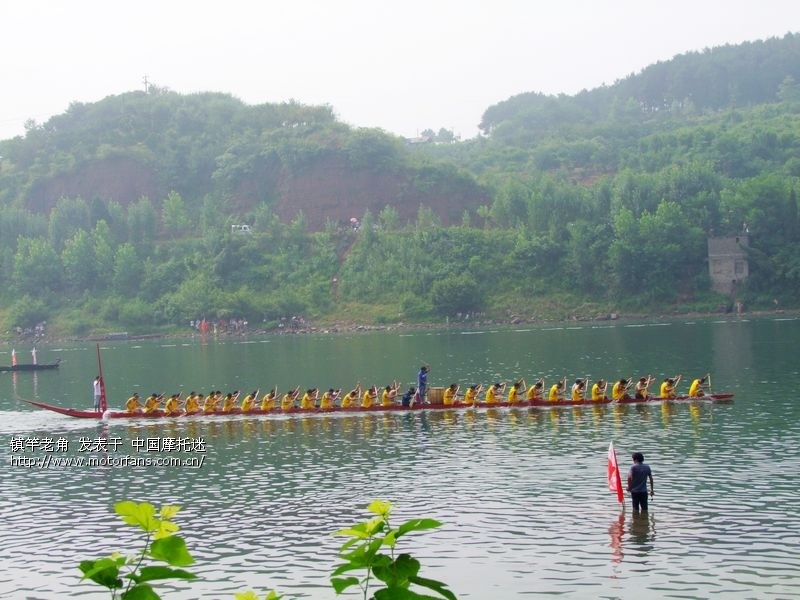 农历五月十五麻阳兰里看龙舟,品美味鲜鹅肉图片