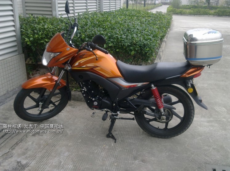 摩托车驾照实习期? - 五羊本田-骑式车讨论专区