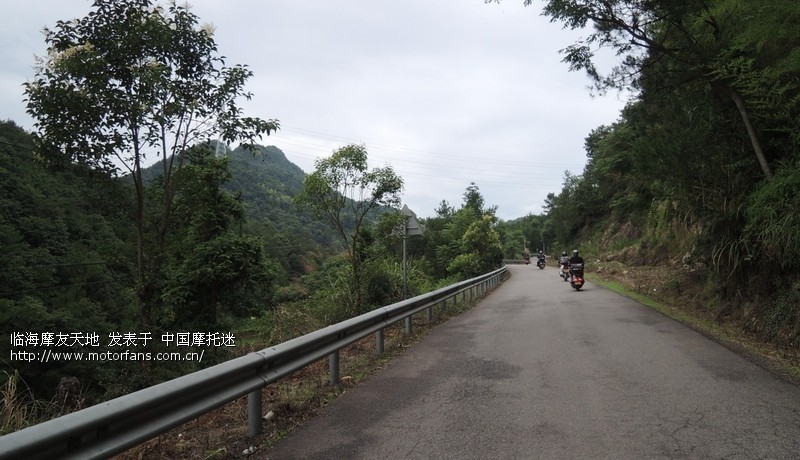 沙柳海鲜馆_沙柳盆景_铁板煎海鲜