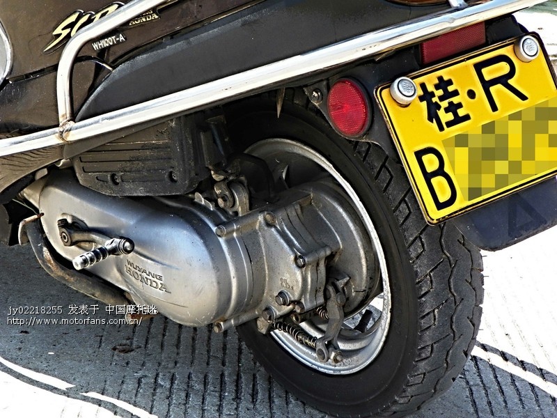 五本小公主WH100T-A城市穿梭工具 - 五羊本田