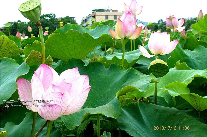 闽赣皖浙边界行江西段.风景这边独好.更新第二