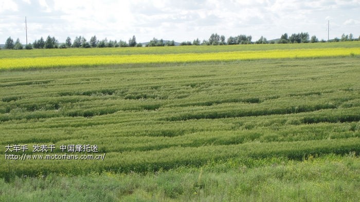 大车手(老杨)2013年7月中国北方漠河万里行 - 