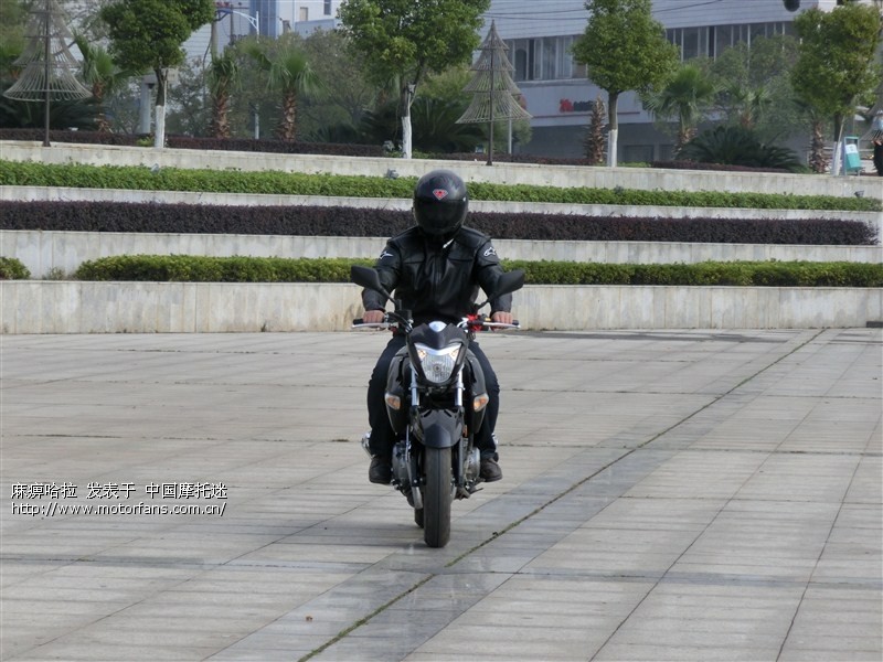 永恒993大家觉得怎么样 - 五羊本田-骑式车讨论