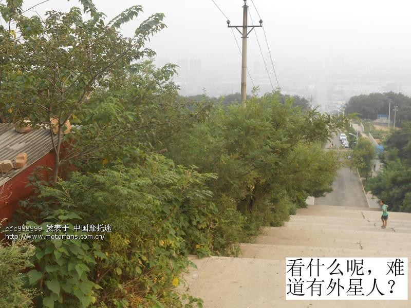 平顶山GN12交强险、车船税作业 - 河南摩友交