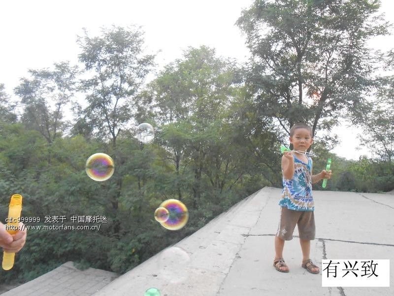 平顶山GN12交强险、车船税作业 - 河南摩友交