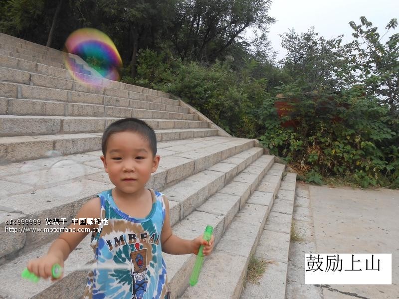 平顶山GN12交强险、车船税作业 - 河南摩友交