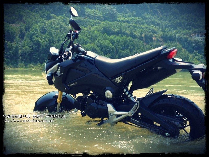 亮瞎你的双眼!本田2013年新款!猴子续作!摩托