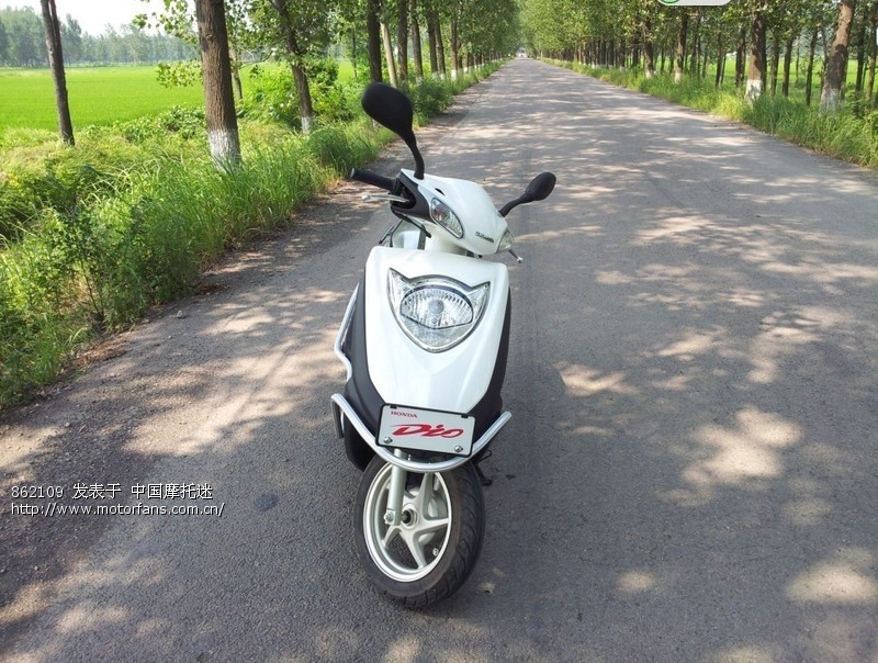 入手本田DIO白色 6880元 - 踏板论坛 - 新大洲本