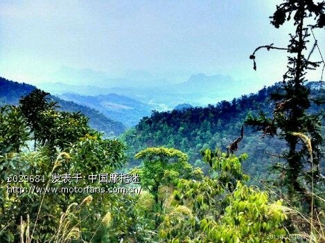 巧格堵二次进气后的效果反应。晒下相片 - 踏板
