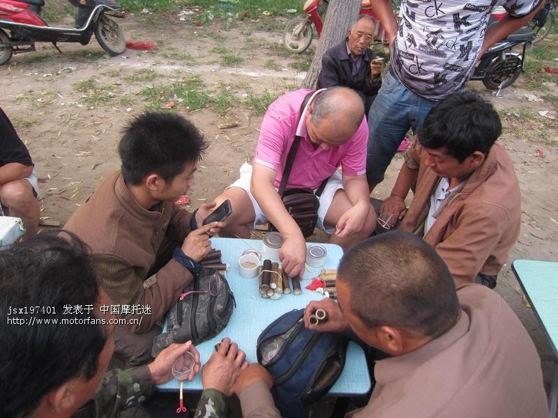 驰名中国的延津蟋蟀市场 - 河南摩友交流区 - 摩