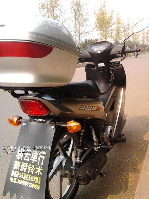 我的小弯 威武110-19 - 弯梁世界 - 新大洲本田-